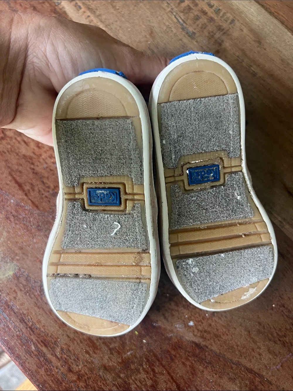 Keds Graham Sneaker in light pink